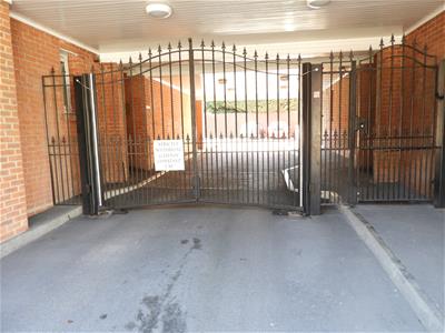 Picture 11